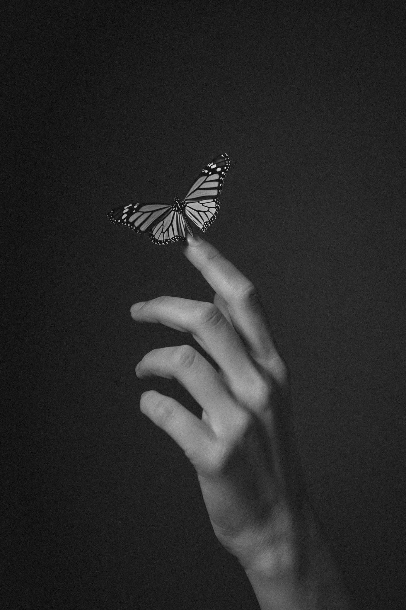 A monarch butterfly resting on a single fingertip, photographed in black and white against a dark background.